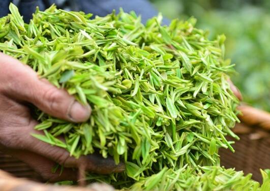 富硒茶有什么功郊(富硒茶叶)-硒宝网