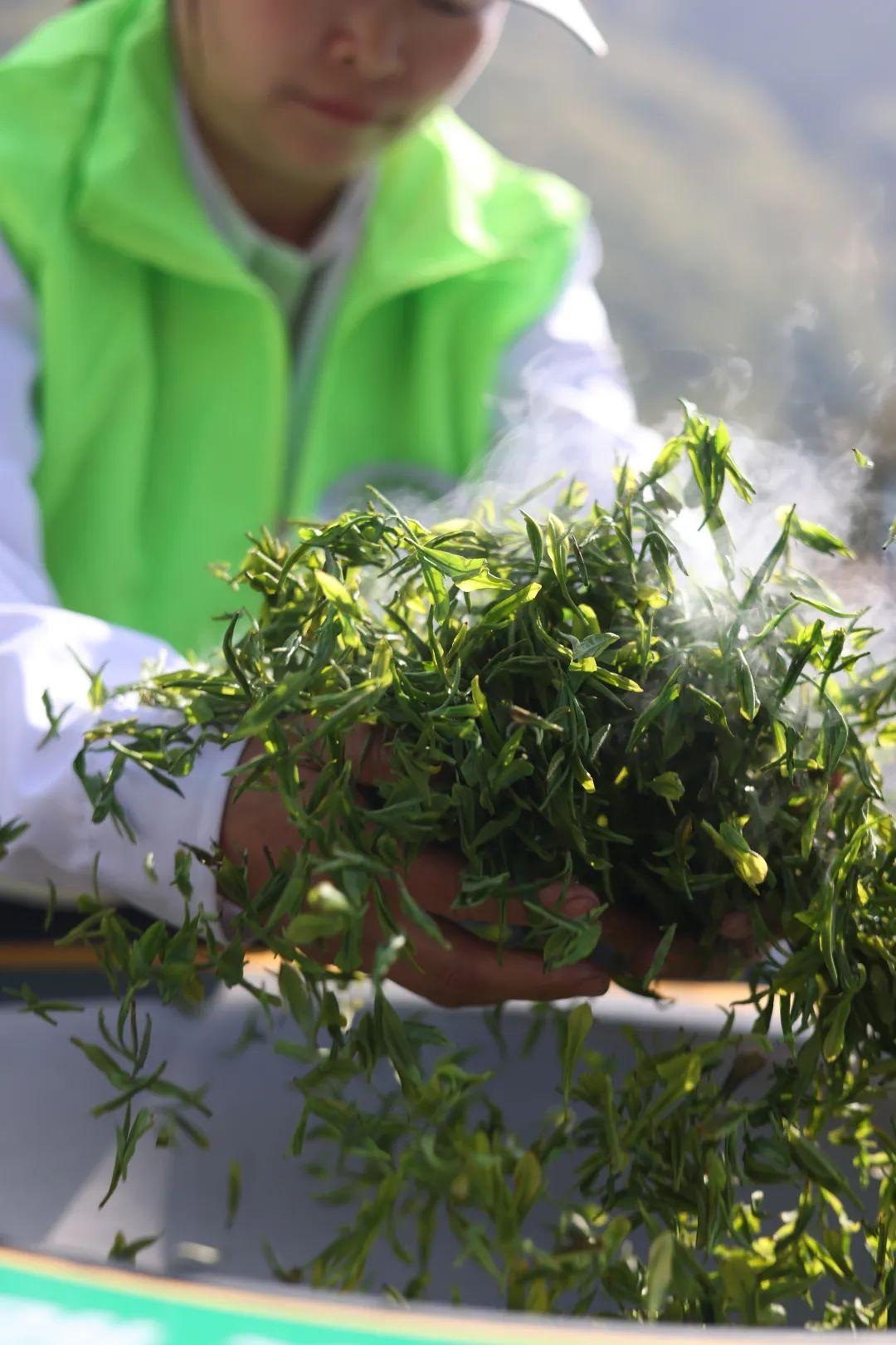 镇巴怡溪春富硒茶(镇巴怡溪春多少钱一斤)-硒宝网