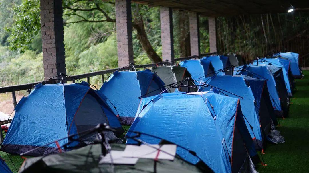 镇巴怡溪春富硒茶(镇巴怡溪春多少钱一斤)-硒宝网