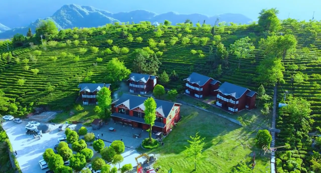 镇巴怡溪春富硒茶(镇巴怡溪春多少钱一斤)-硒宝网