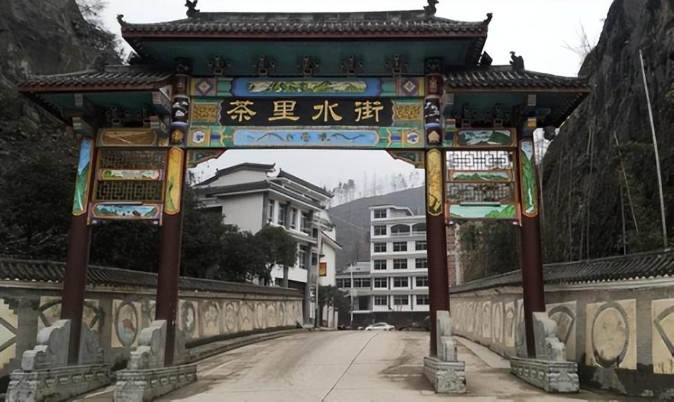 镇巴怡溪春富硒茶(镇巴怡溪春多少钱一斤)-硒宝网