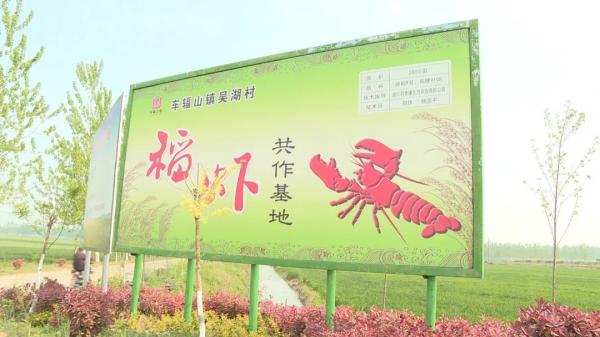 晋中大山村富硒茶（大山村富硒茶价格）-硒宝网