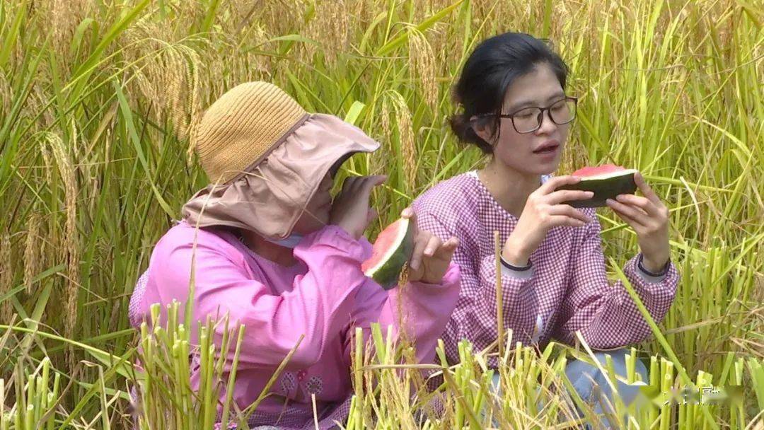 晋中大山村富硒茶（大山村富硒茶价格）-硒宝网