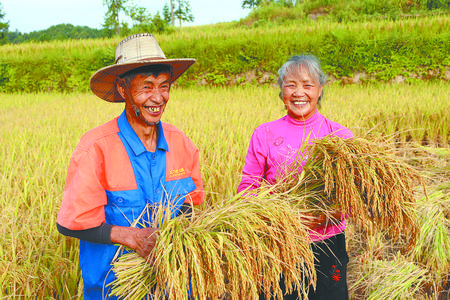 晋中大山村富硒茶（大山村富硒茶价格）-硒宝网