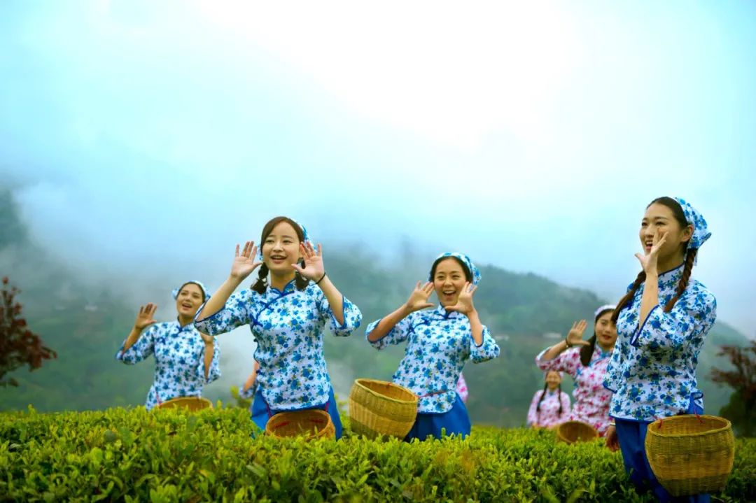 旺园春紫阳富硒茶(旺源春紫阳富硒茶)-硒宝网