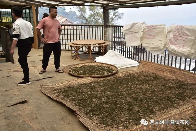 茶农直销网富硒茶（富硒茶在哪里生产）-硒宝网