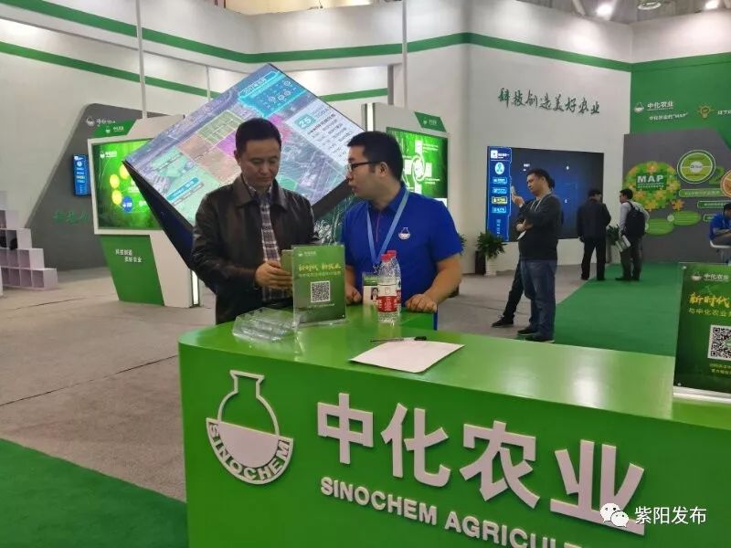 紫阳县富硒茶名牌(紫阳富硒茶厂)-硒宝网