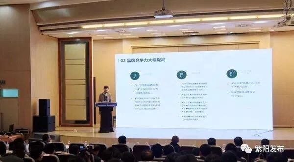 紫阳县富硒茶名牌(紫阳富硒茶厂)-硒宝网