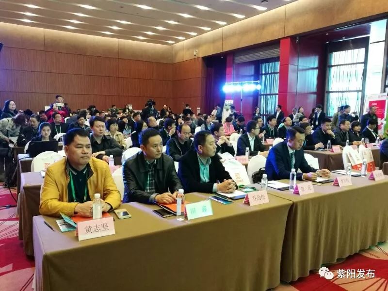 紫阳县富硒茶名牌(紫阳富硒茶厂)-硒宝网