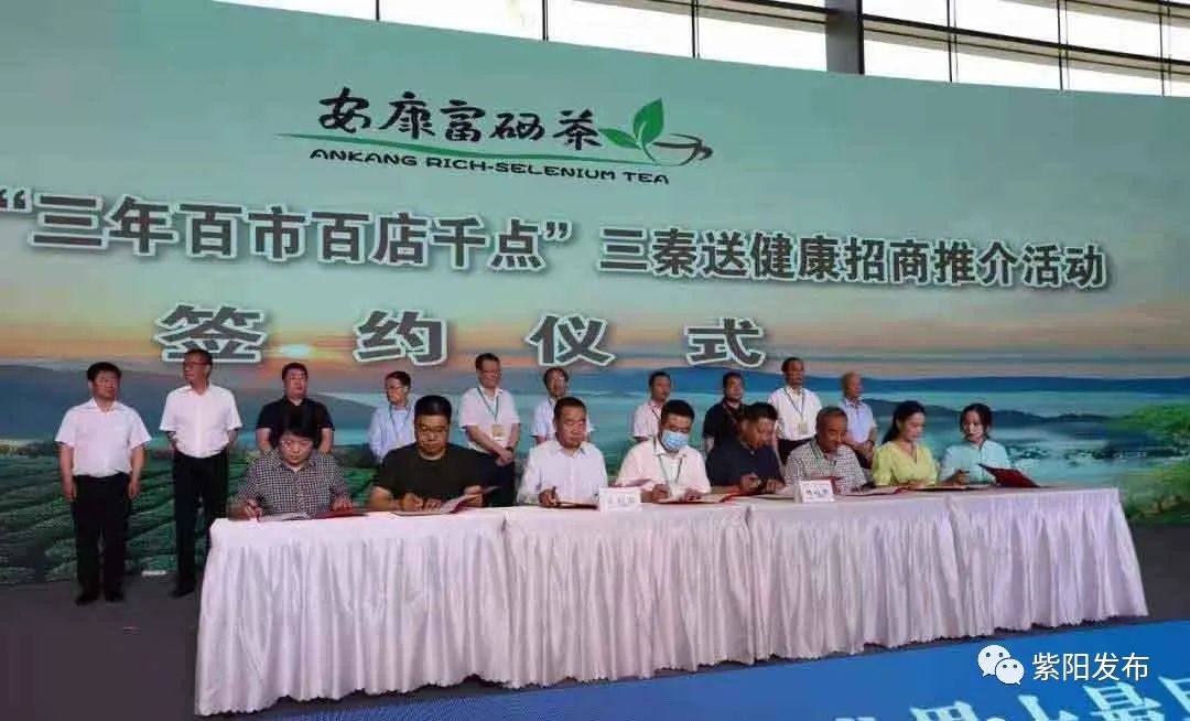 全国供销社富硒茶（中国富硒茶之乡）-硒宝网