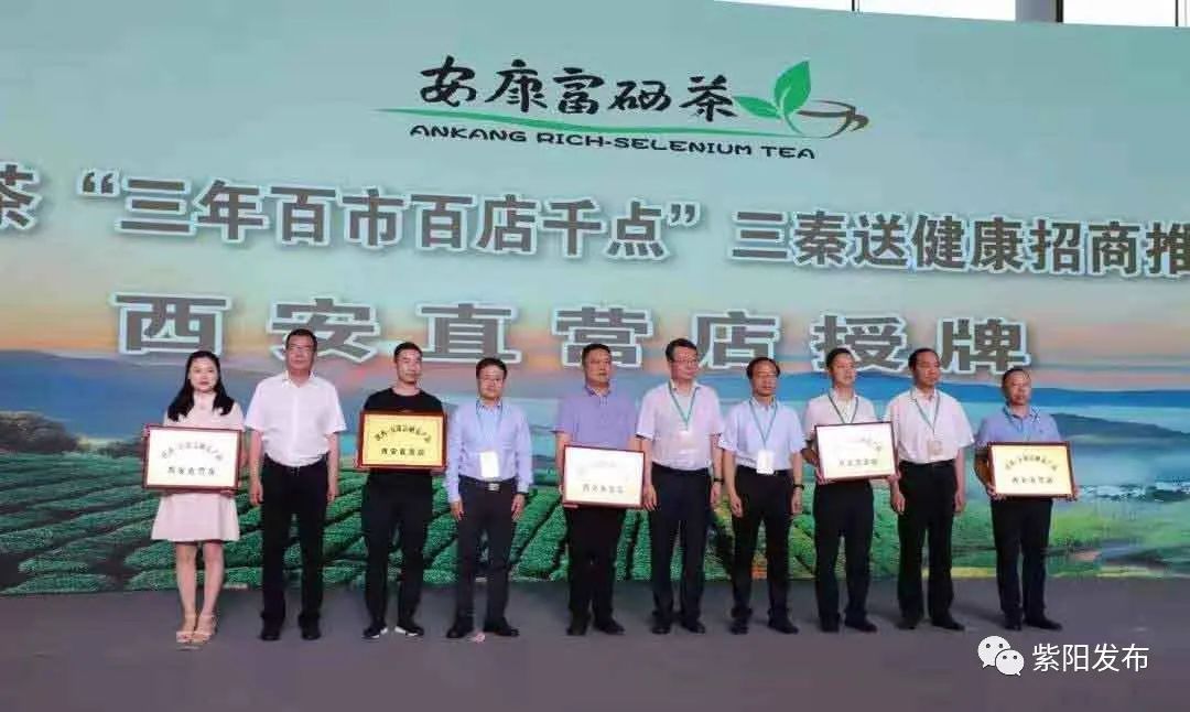 全国供销社富硒茶（中国富硒茶之乡）-硒宝网