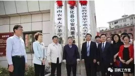 茶农直销网富硒茶(富硒茶价格表)-硒宝网