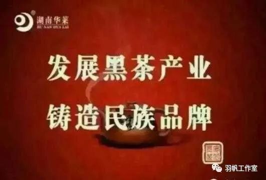 茶农直销网富硒茶(富硒茶价格表)-硒宝网
