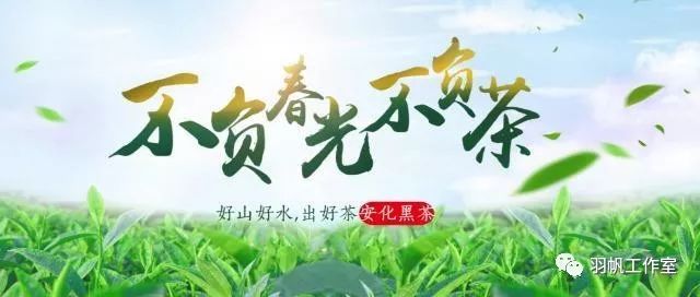 茶农直销网富硒茶(富硒茶价格表)-硒宝网