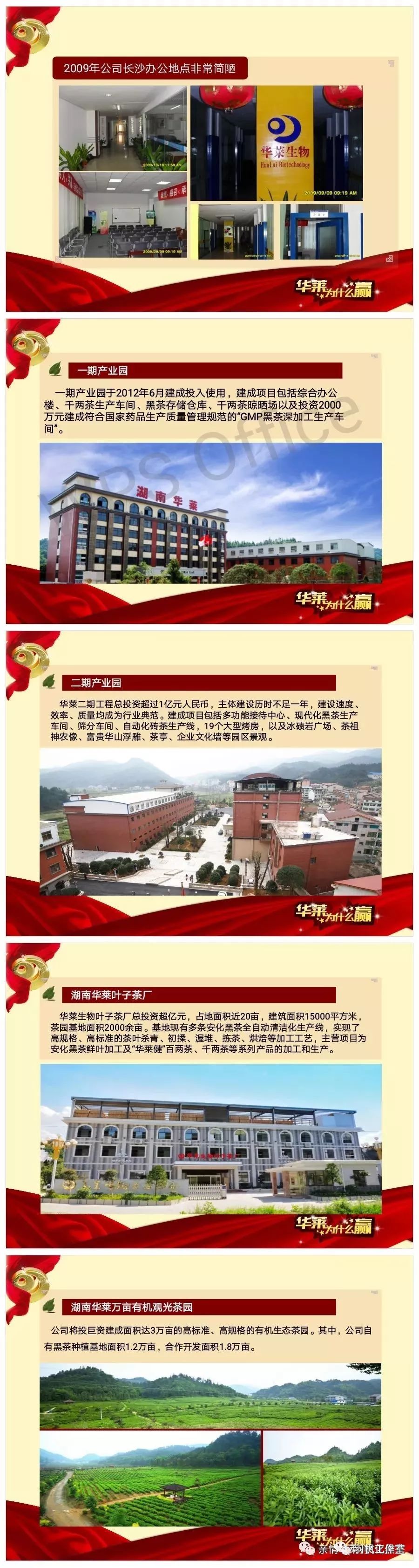 茶农直销网富硒茶(富硒茶价格表)-硒宝网