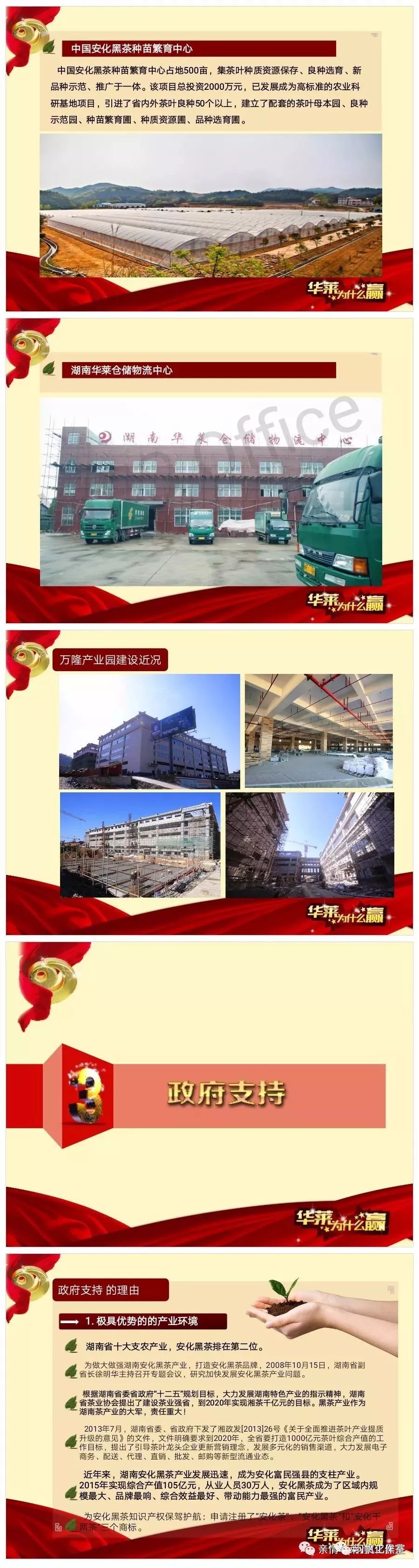 茶农直销网富硒茶(富硒茶价格表)-硒宝网