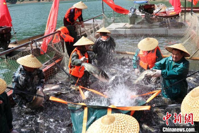 富硒茶咋样好不好(富硒茶口感)-硒宝网