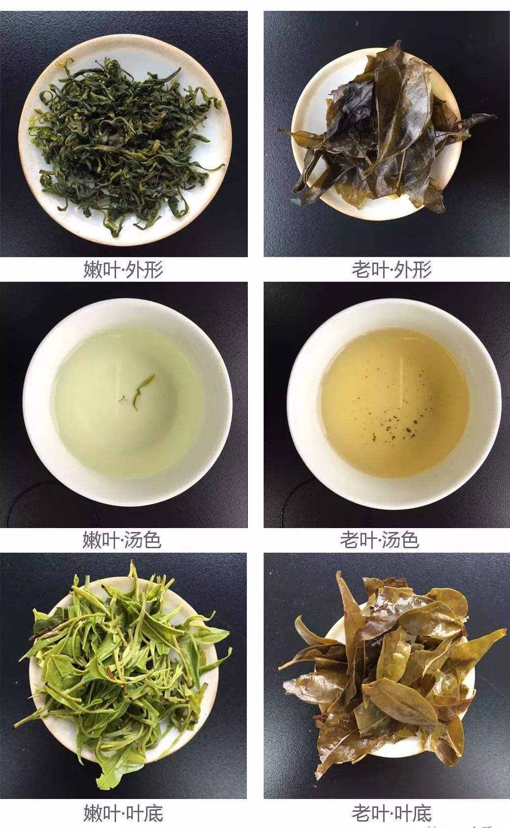 失眠能喝富硒茶吗（失眠能喝茶富硒吗）-硒宝网