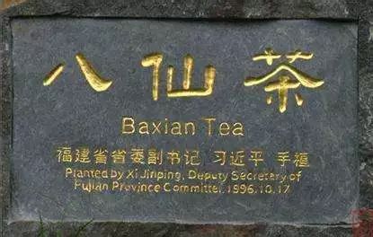 茶农直销网富硒茶（富硒茶批发）-硒宝网