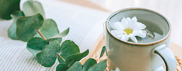 失眠能喝富硒茶吗(失眠能喝茶叶茶吗)-硒宝网