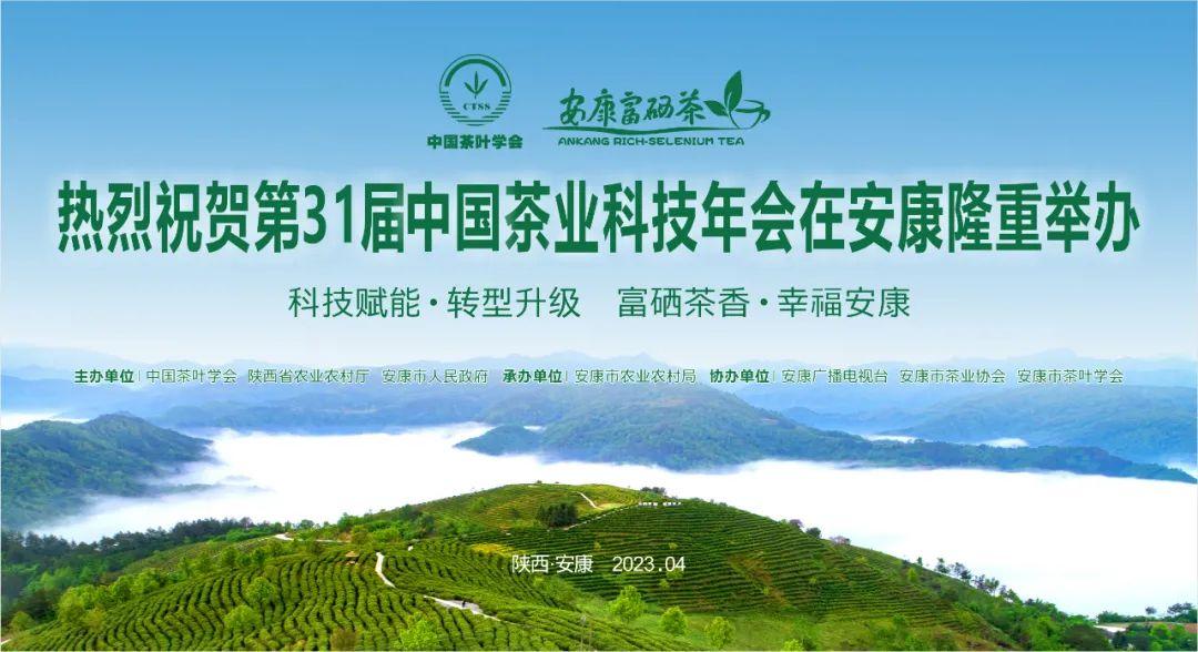 安康富硒茶顺口溜(安康富硒茶最古老的茶)-硒宝网