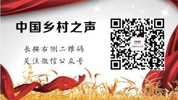 安徽石台县富硒茶(安徽石台县富硒村旅游攻略)-硒宝网