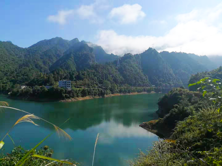 富硒野茶 张家界（张家界富硒农业发展有限公司）-硒宝网