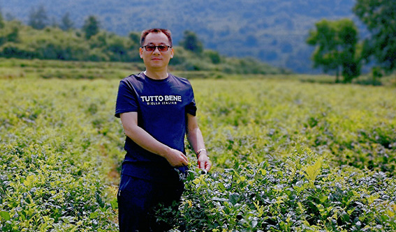 富硒野茶 张家界（张家界富硒农业发展有限公司）-硒宝网