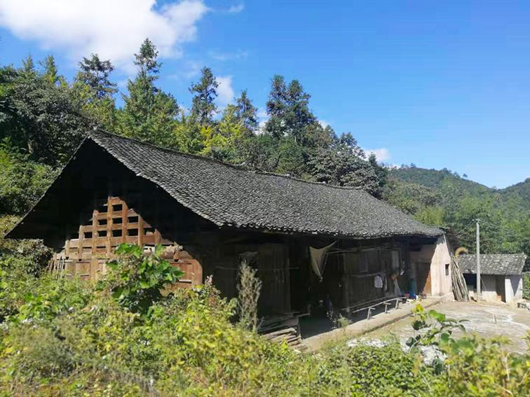 富硒野茶 张家界（张家界富硒农业发展有限公司）-硒宝网