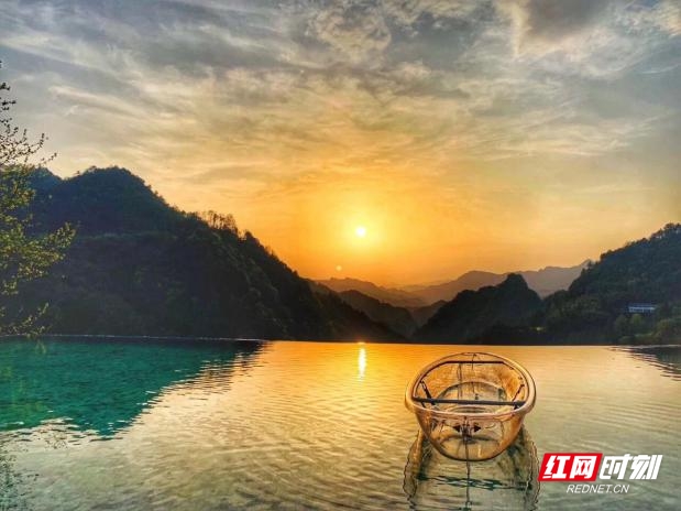 富硒野茶 张家界（张家界富硒莓茶）-硒宝网