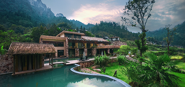 富硒野茶 张家界（张家界富硒莓茶）-硒宝网