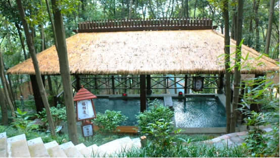 富硒野茶 张家界（张家界富硒莓茶）-硒宝网