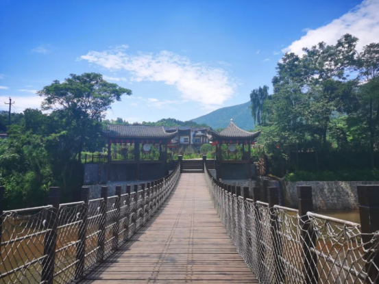 富硒野茶 张家界（张家界富硒莓茶）-硒宝网