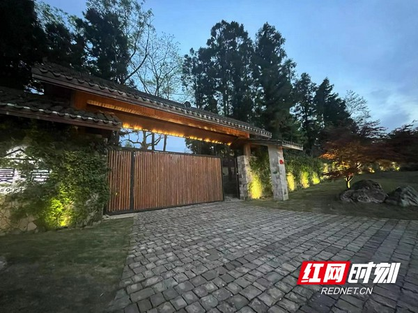 富硒野茶 张家界（张家界富硒莓茶）-硒宝网