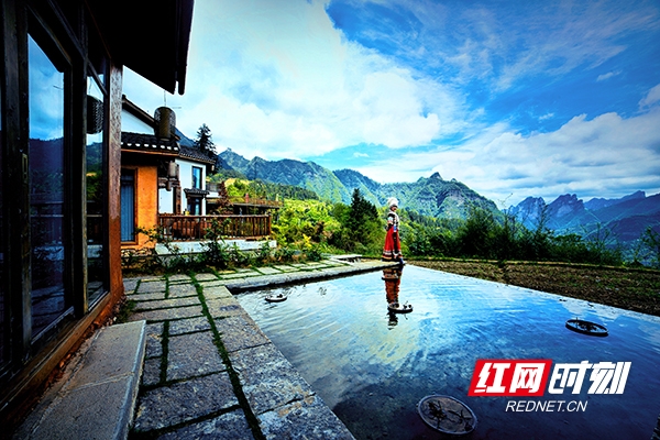 富硒野茶 张家界（张家界富硒莓茶）-硒宝网