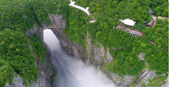富硒野茶 张家界（张家界富硒莓茶）-硒宝网