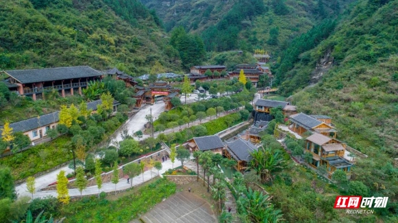 富硒野茶 张家界（张家界富硒莓茶）-硒宝网