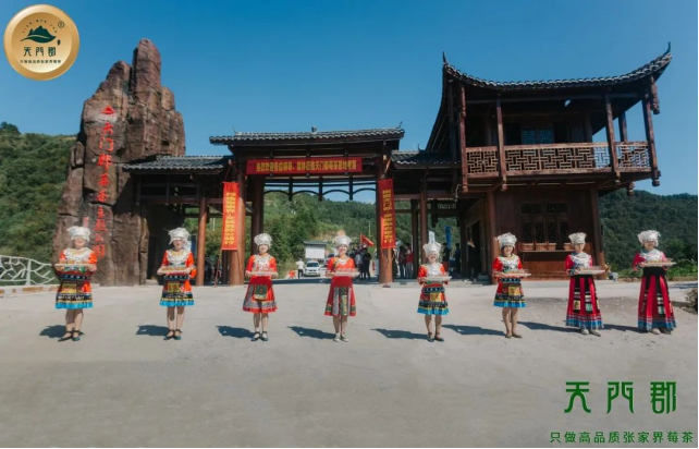 富硒野茶 张家界（张家界富硒莓茶）-硒宝网