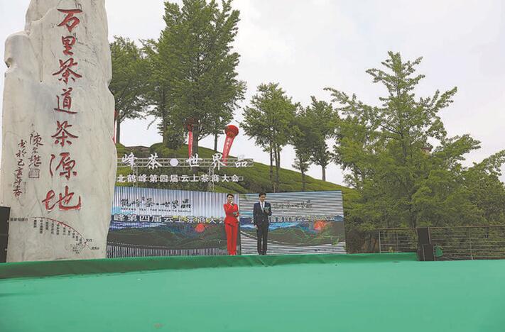 富硒野茶 张家界(张家界土壤富硒的乡村)-硒宝网