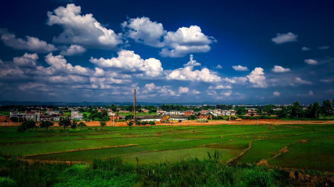 梅州市富硒有机茶(梅州富硒红茶)-硒宝网