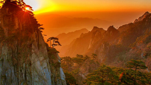 安徽珂田富硒野茶（安徽野山茶功效与作用）-硒宝网