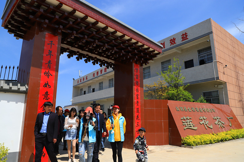 天方富硒茶代言人（天方富硒水）-硒宝网