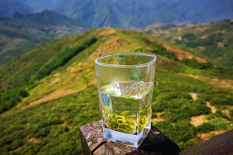 天方富硒茶代言人（天方富硒水）-硒宝网