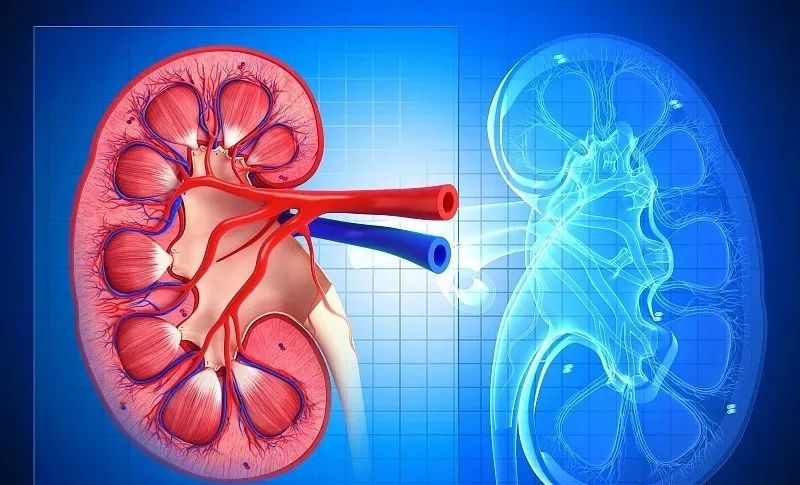 富硒黑茶对胃好吗(黑茶的硒含量)-硒宝网