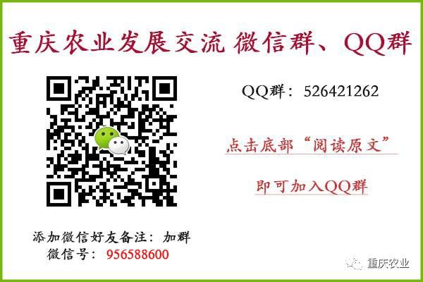 良禾山富硒茶价格（良禾山石台硒茶）-硒宝网