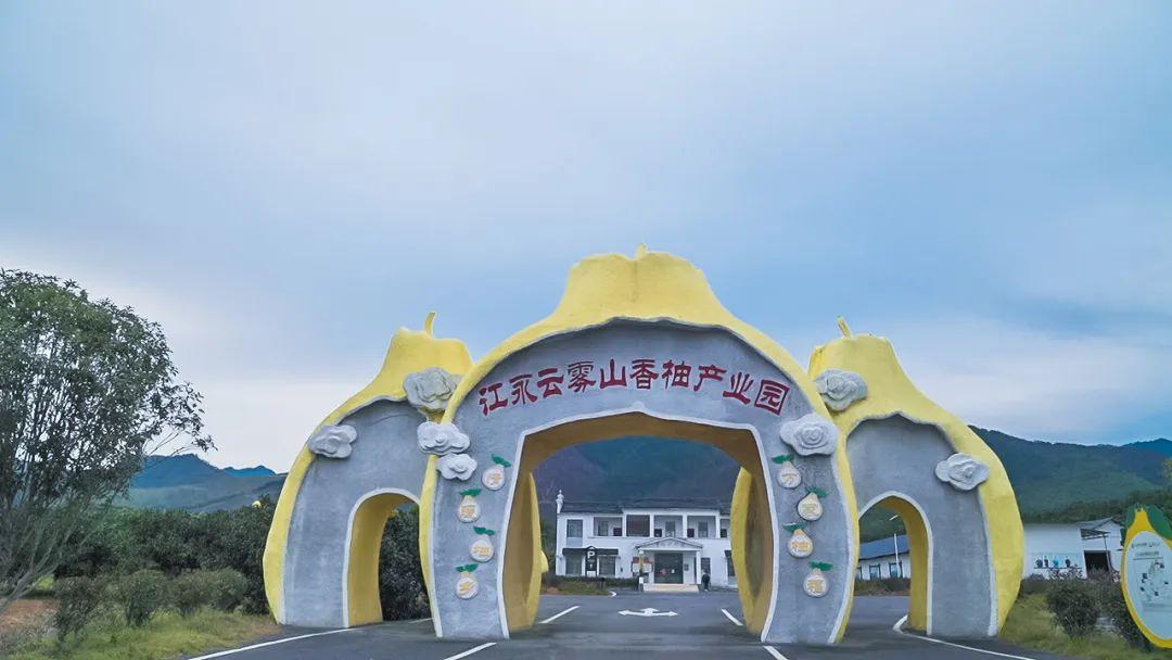 什么叫富硒柚子茶（柚子茶叫富硒吗）-硒宝网