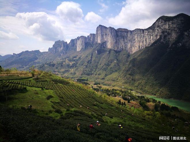 恩施富硒茶春之然(恩施富硒茶)-硒宝网