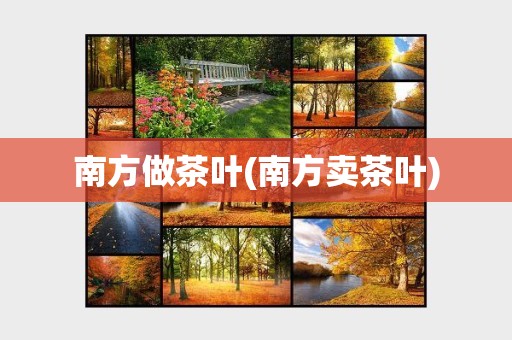 富硒茶是日照绿吗（富硒绿茶的主要特征是什么）-硒宝网