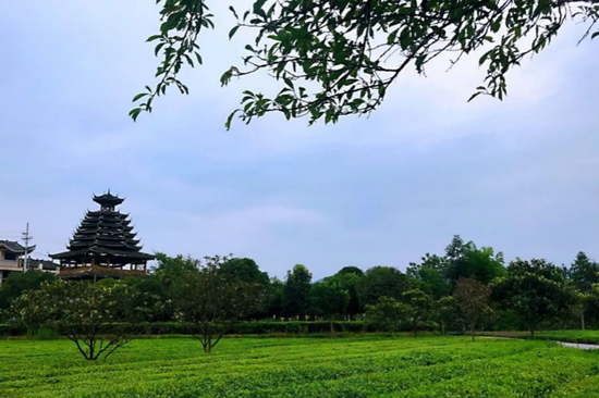 利川红富硒茶贵吗(贵茶红富硒利川有卖吗)-硒宝网