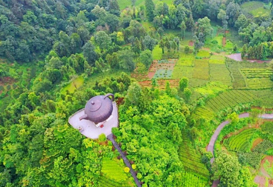 利川红富硒茶贵吗(贵茶红富硒利川有卖吗)-硒宝网